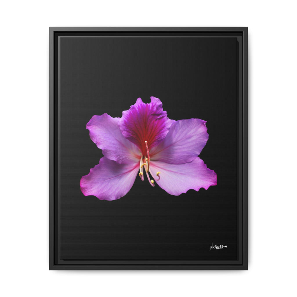 Listening Petals Framed - 16X20