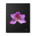Listening Petals Framed - 16X20