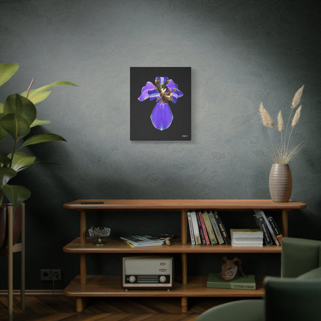 Gift of the Wait - 20X24