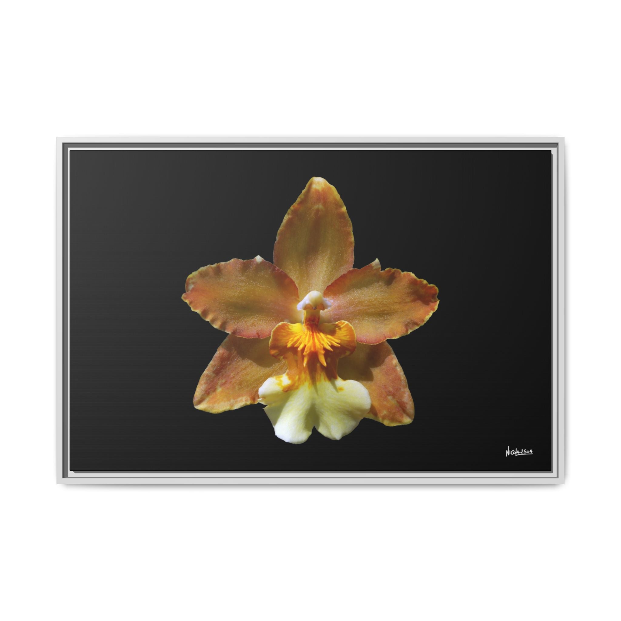 Golden Harmony Framed - 36X24