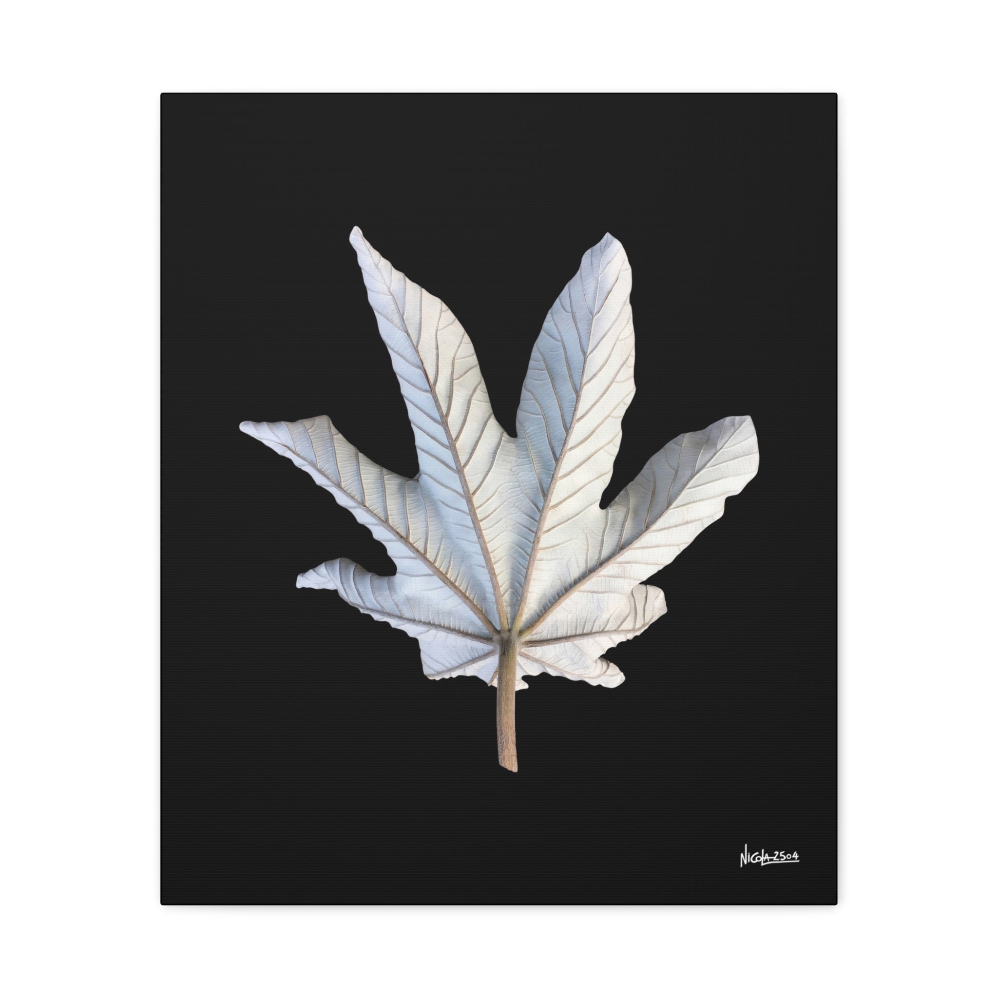 Ivory Solitude - 20X24