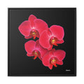Legacy in Bloom Framed - 30X30