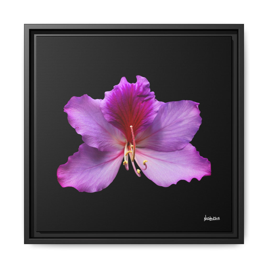 Listening Petals Framed - 16X16