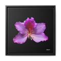 Listening Petals Framed - 16X16