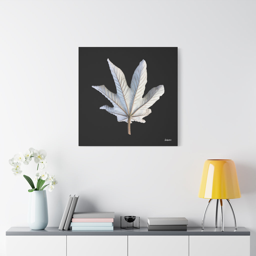 Ivory Solitude - 30X30