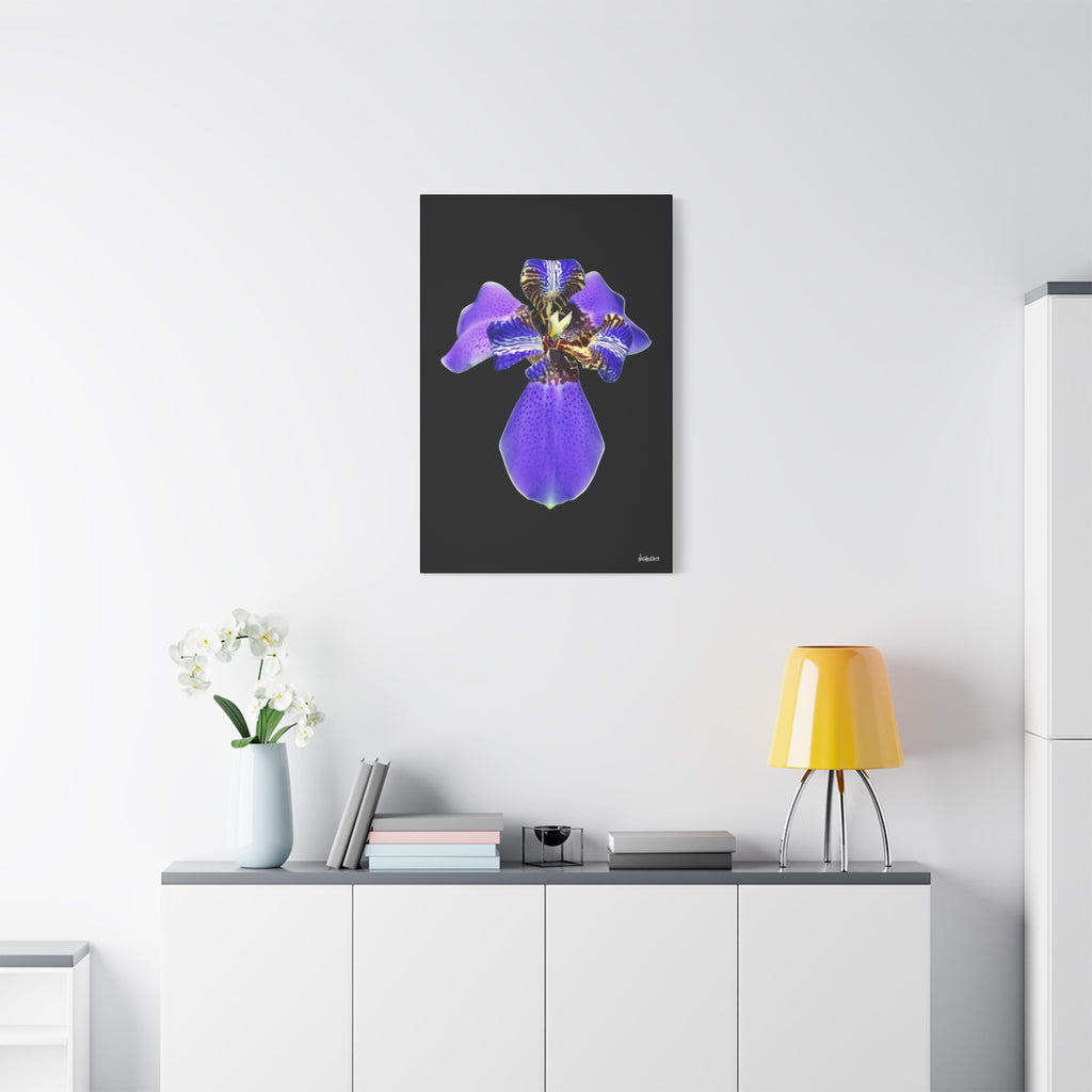 Gift of the Wait - 24X36