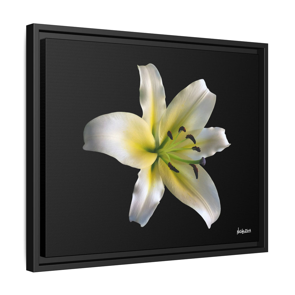 Nature's Paradise Framed - 20X16