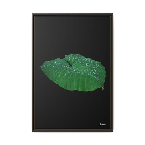 Blessing of the Rain Framed - 24X36