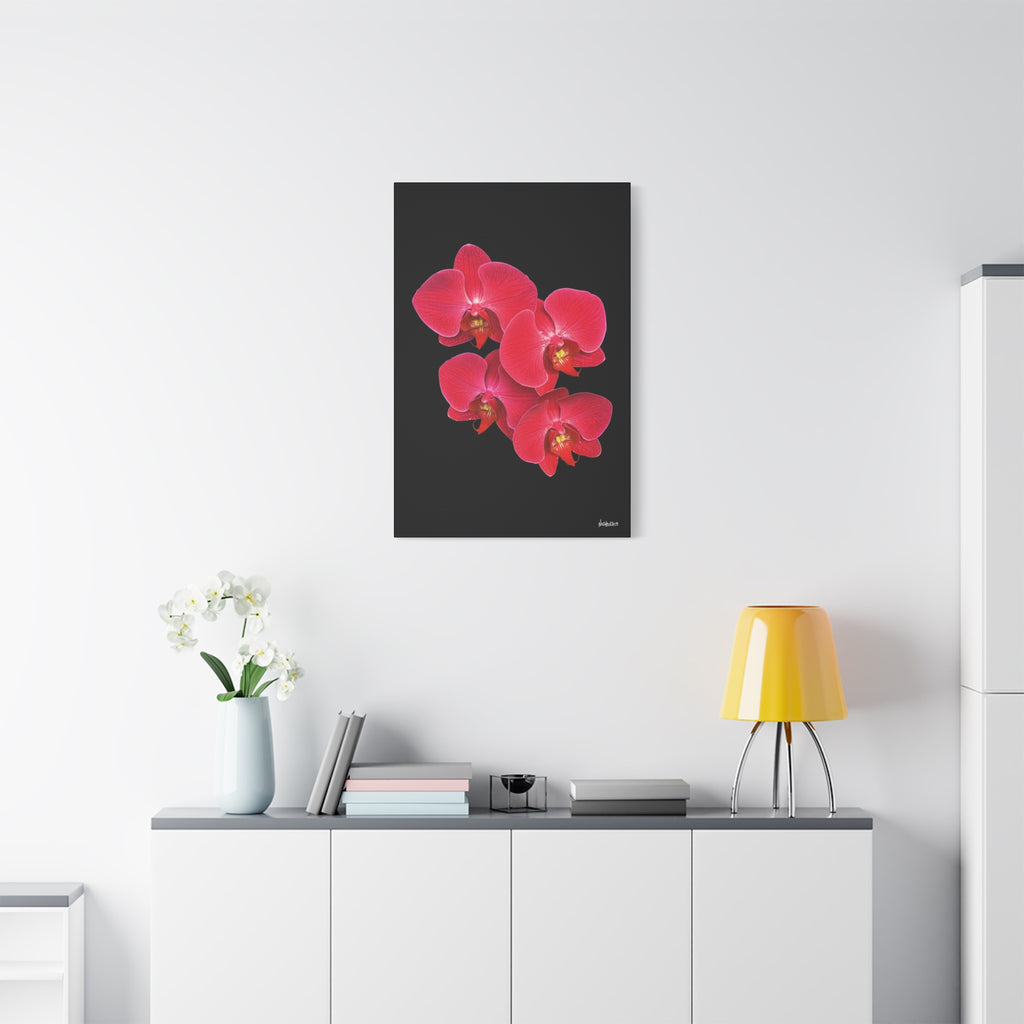 Legacy in Bloom - 24X36