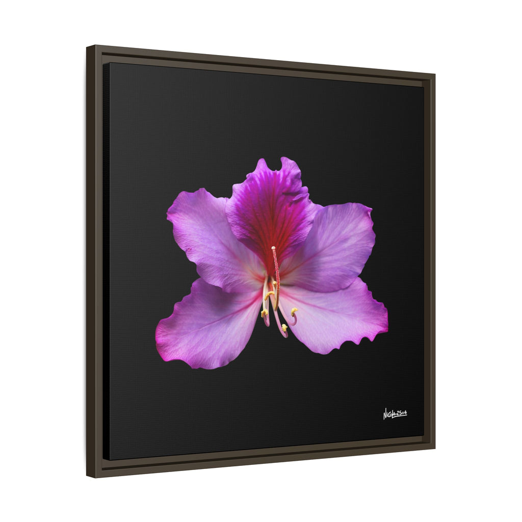 Listening Petals Framed - 24X24