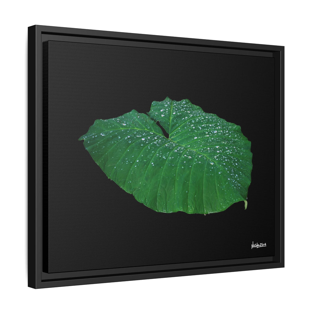 Blessing of the Rain Framed - 20X16