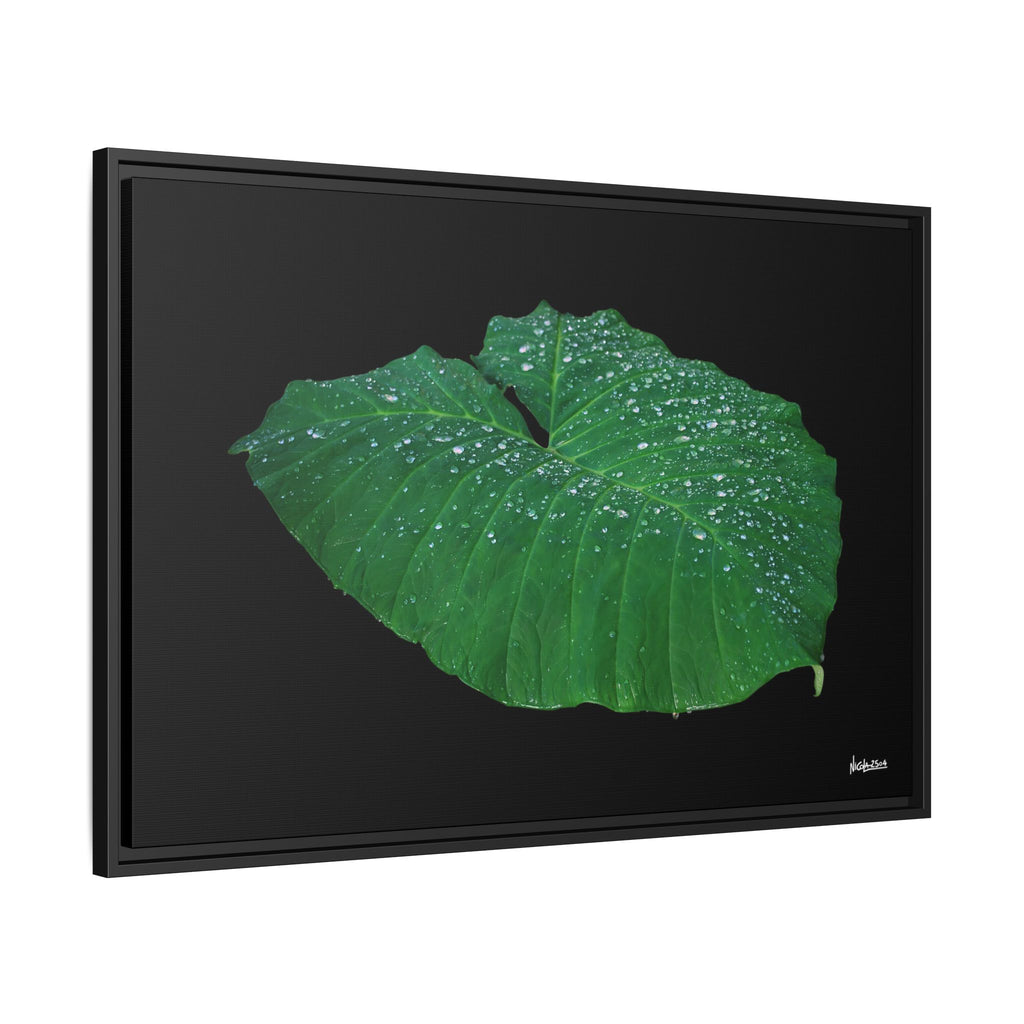 Blessing of the Rain Framed - 36X24