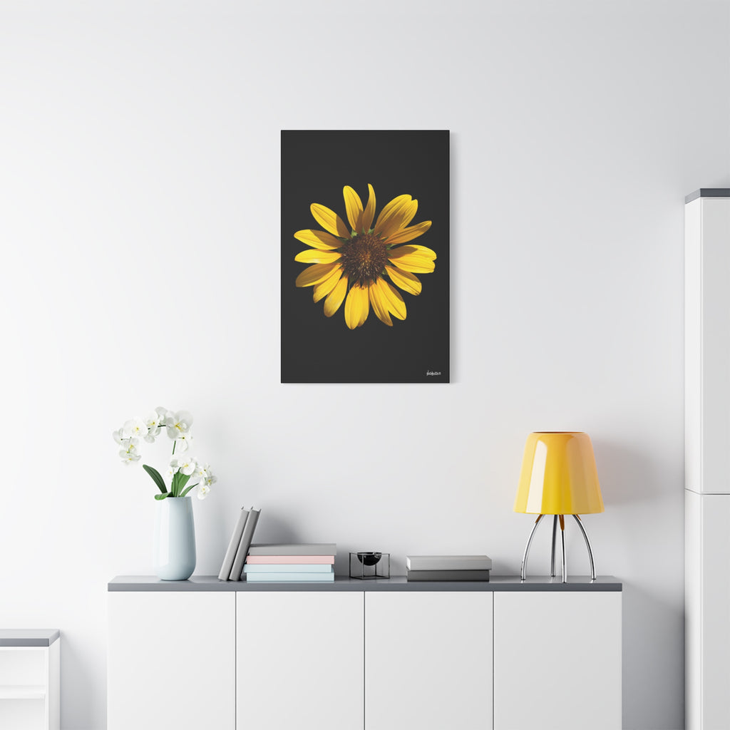 Radiant Inner Sun - 24X36