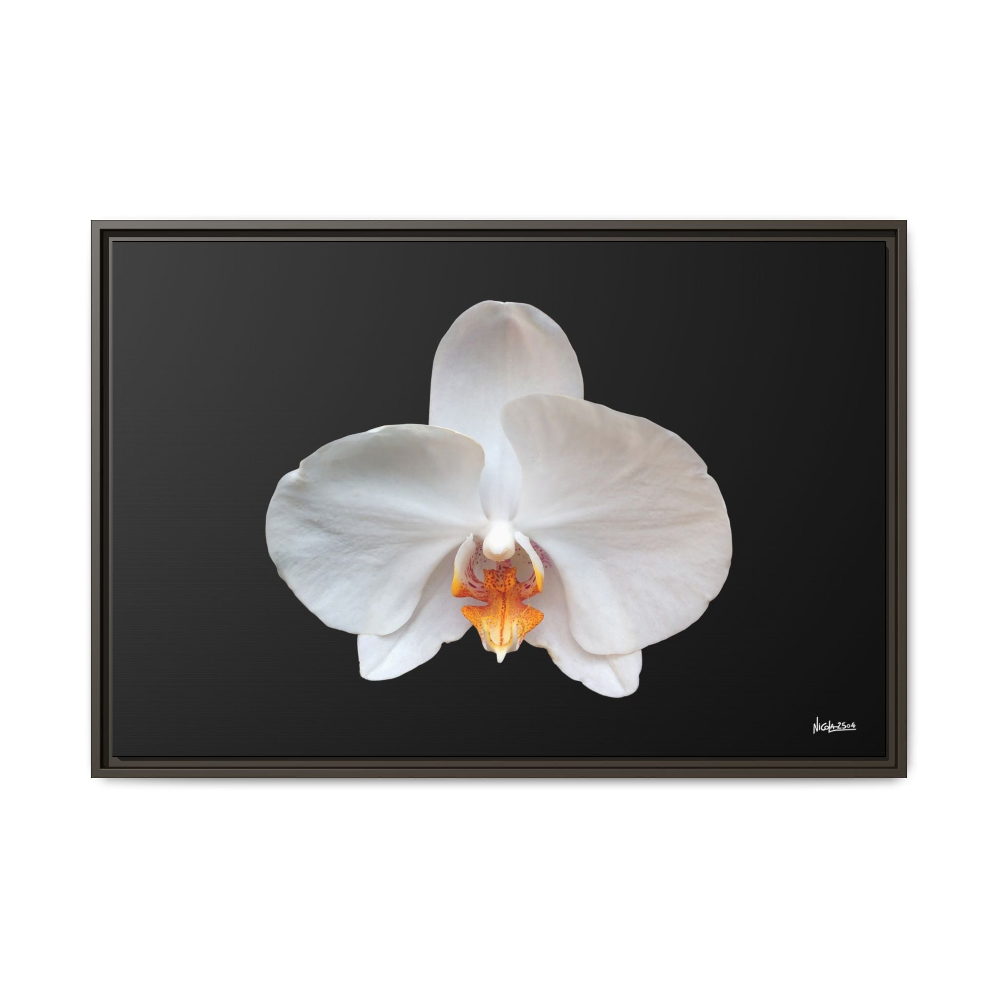 Whispers of the Unseen Framed - 36X24