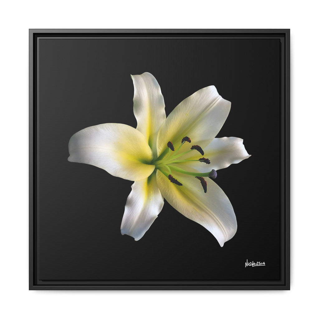 Nature's Paradise Framed - 24X24