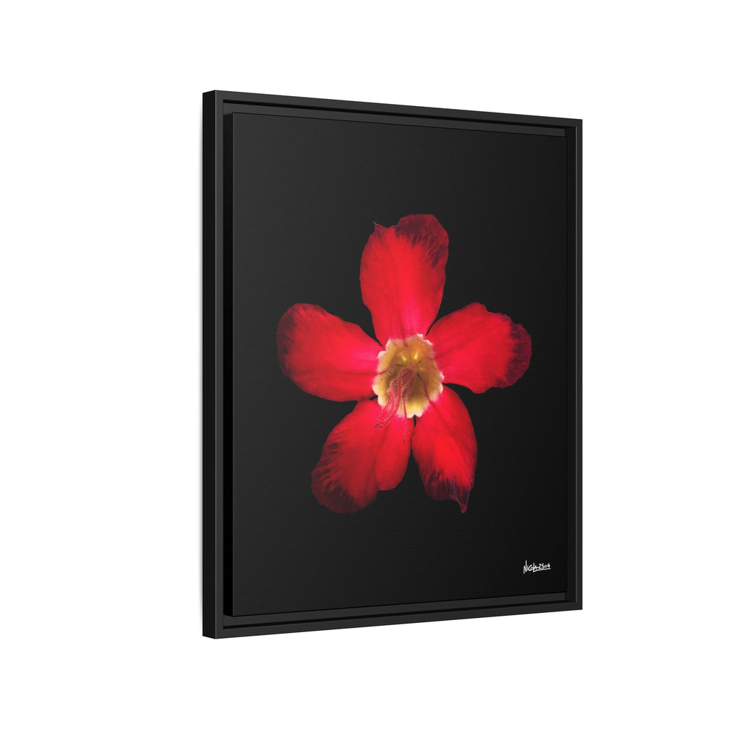 Passion in Bloom Framed - 20X24