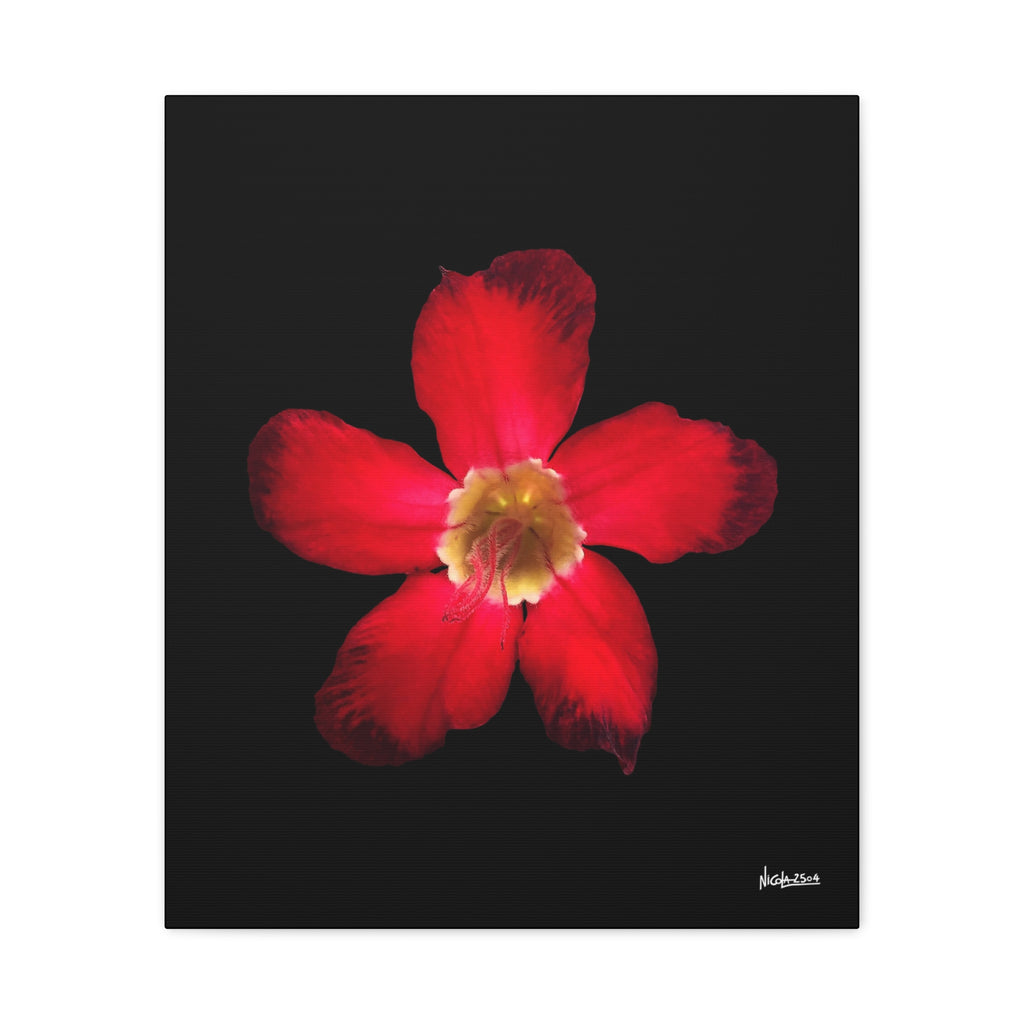 Passion in Bloom - 20X24