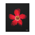 Passion in Bloom - 20X24