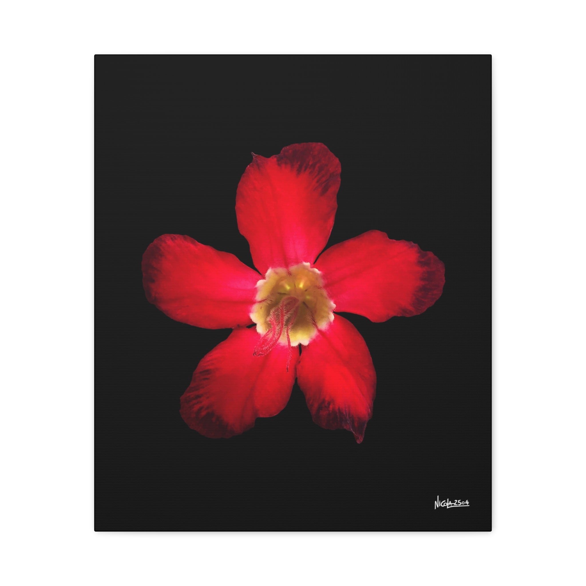 Passion in Bloom - 20X24