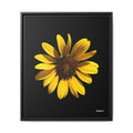Radiant Inner Sun Framed - 20X24