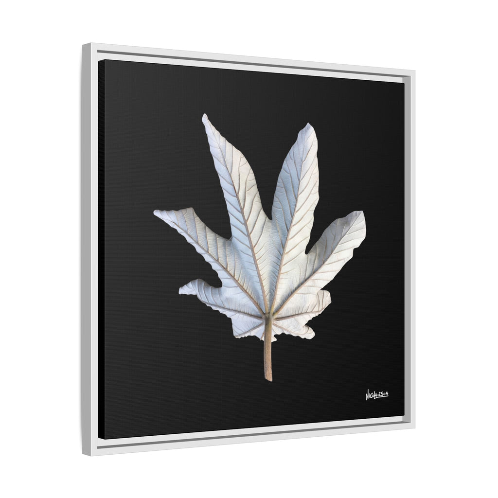 Ivory Solitude Framed - 24X24