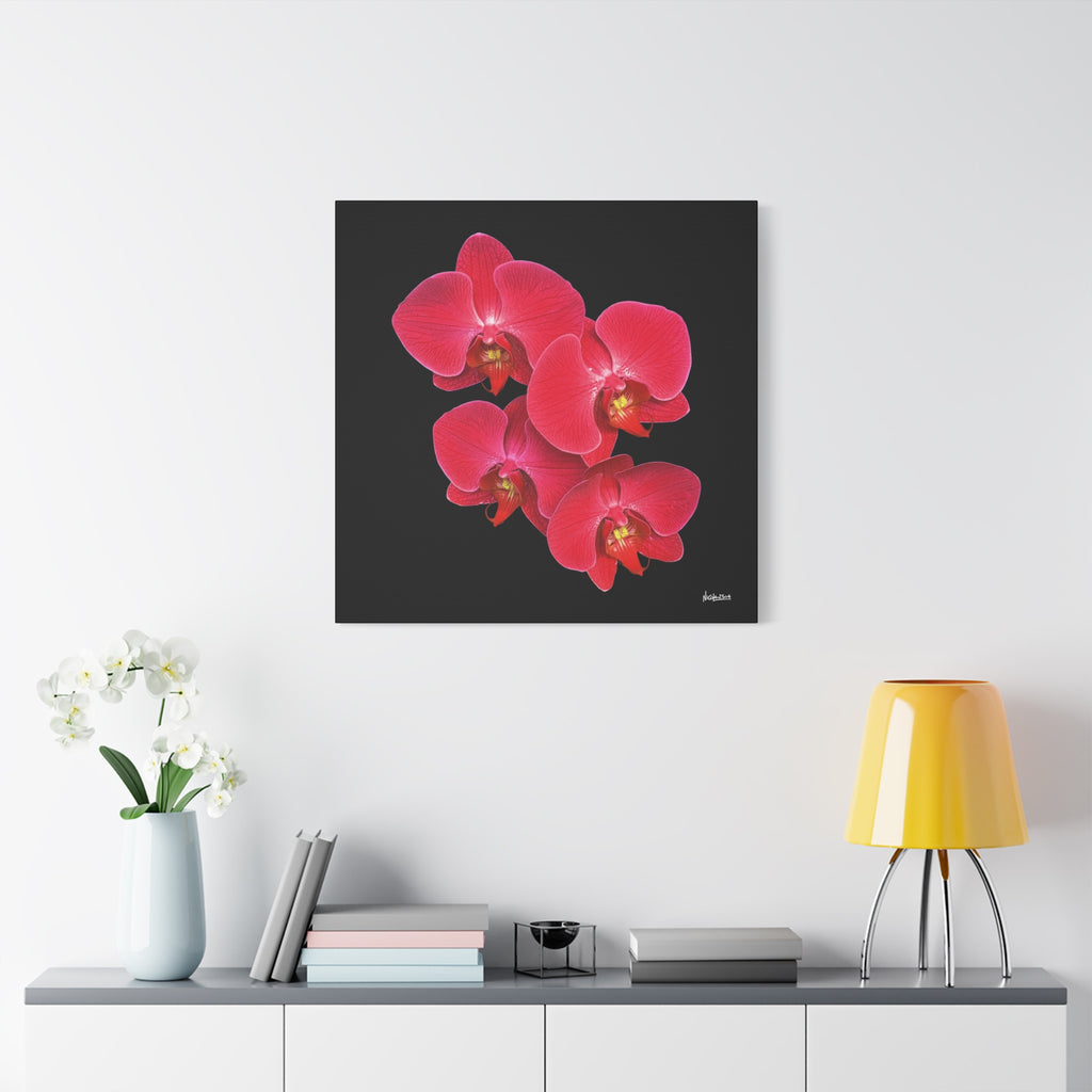 Legacy in Bloom - 30X30