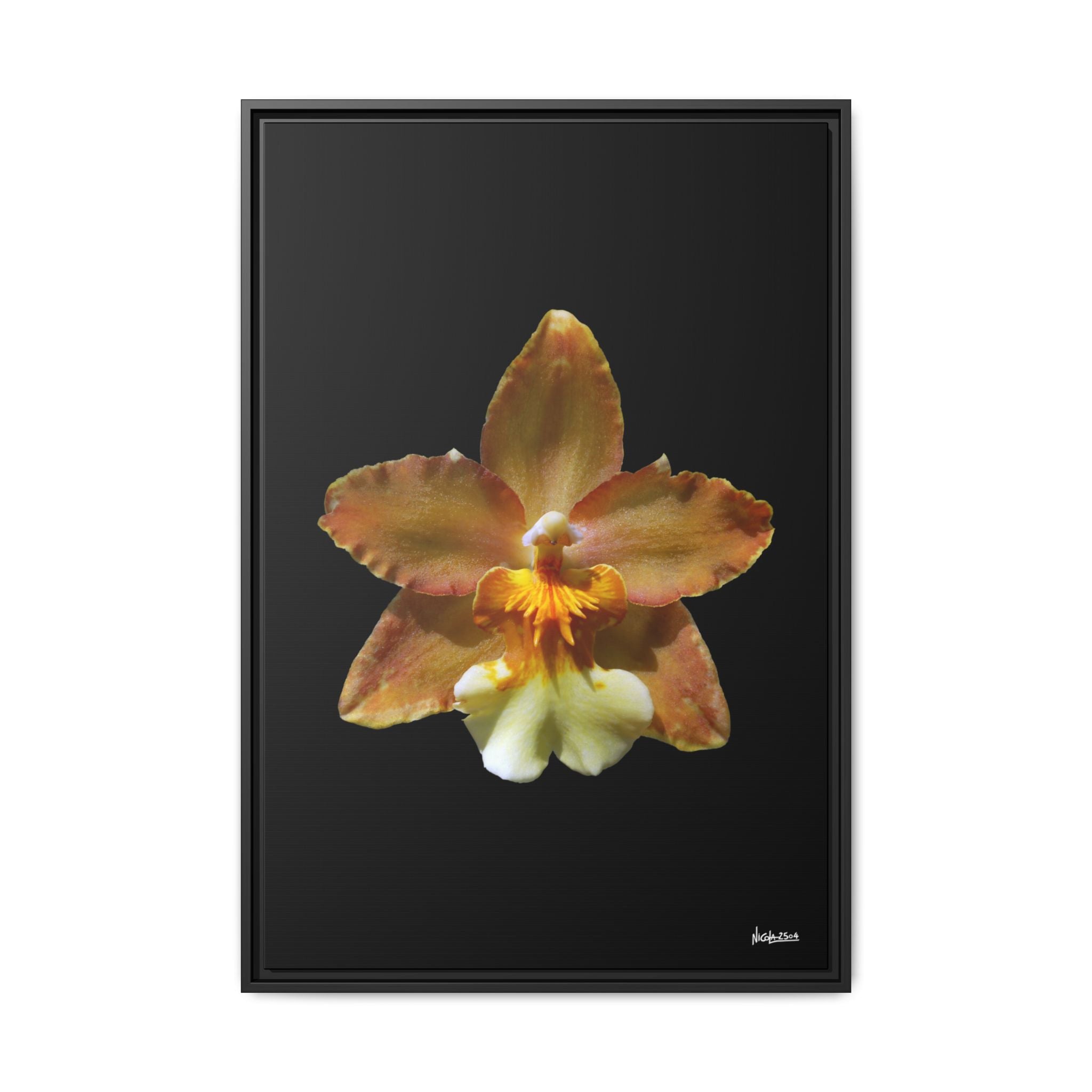Golden Harmony Framed - 24X36