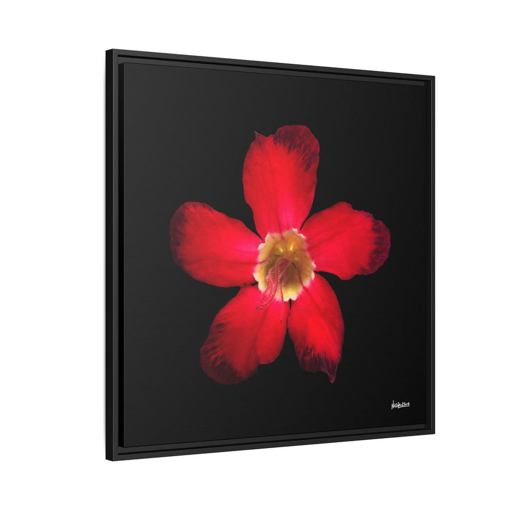 Passion in Bloom Framed - 30X30
