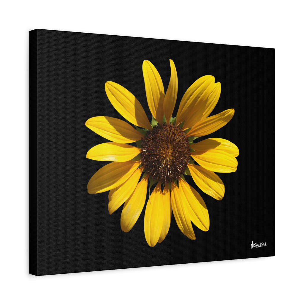 Radiant Inner Sun - 20X16