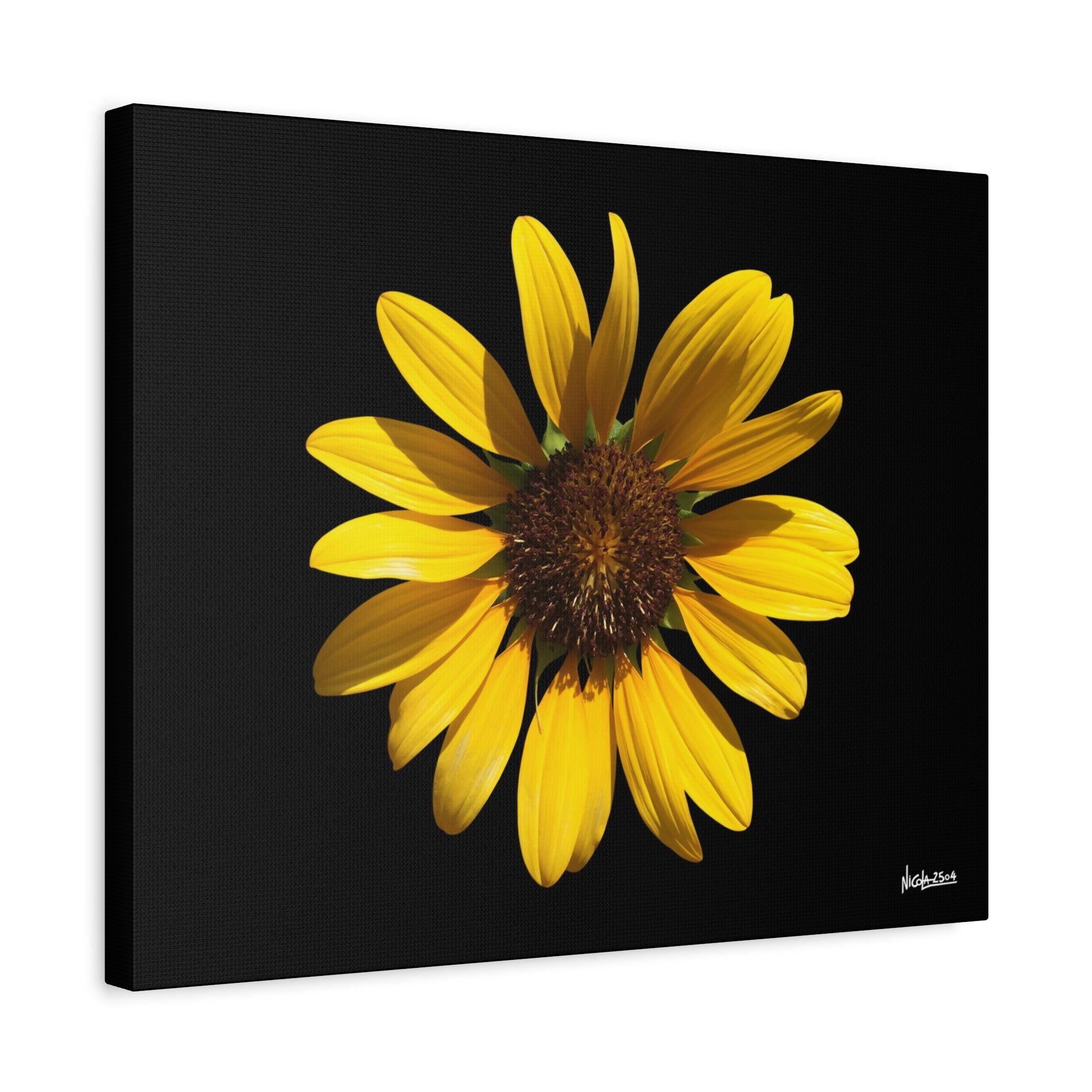 Radiant Inner Sun - 20X16
