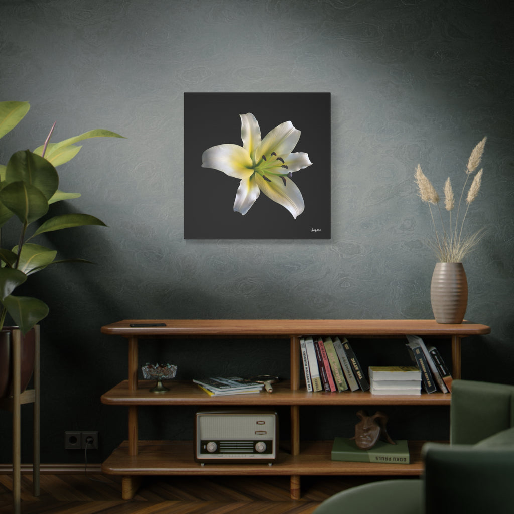 Nature's Paradise - 30X30