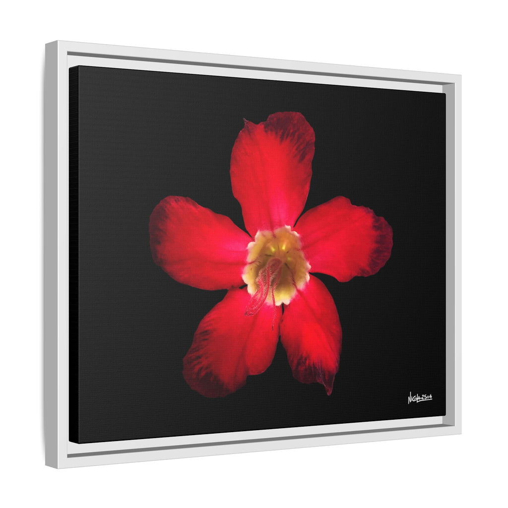 Passion in Bloom Framed - 20X16