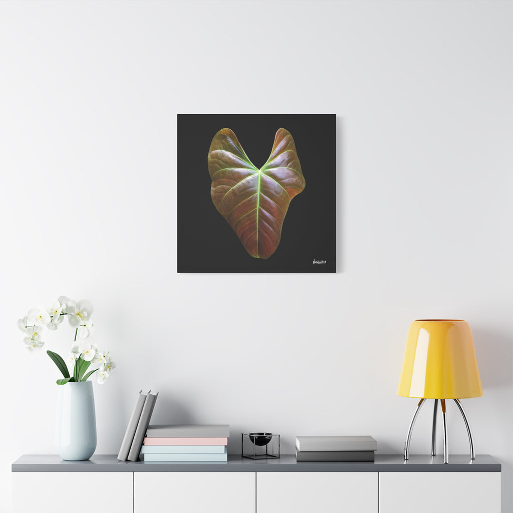 Heart of Earthlight - 24X24