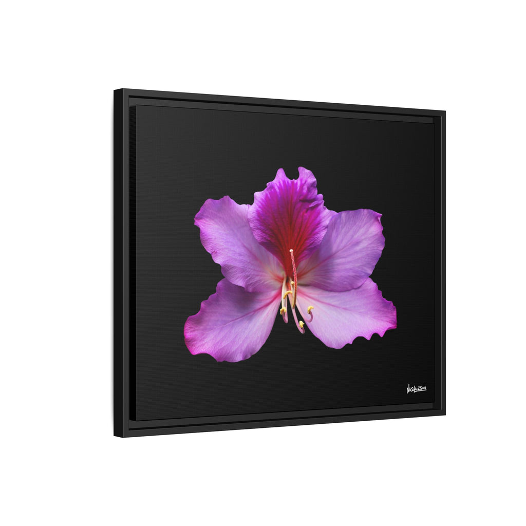 Listening Petals Framed - 24X20