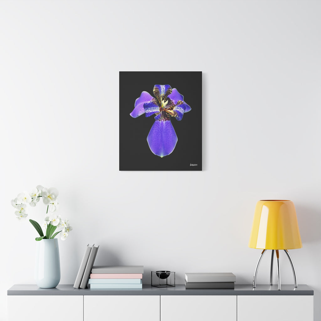 Gift of the Wait - 20X24