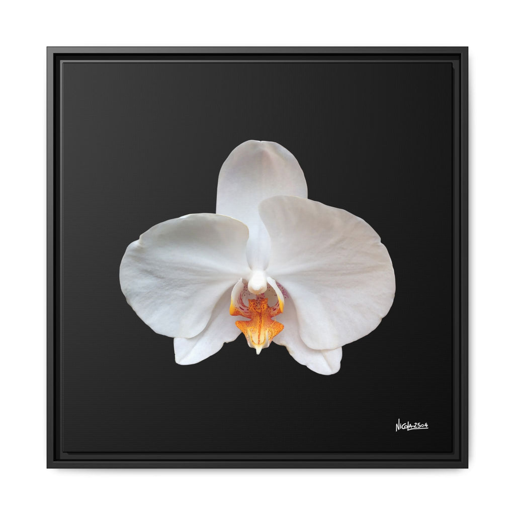 Whispers of the Unseen Framed - 24X24