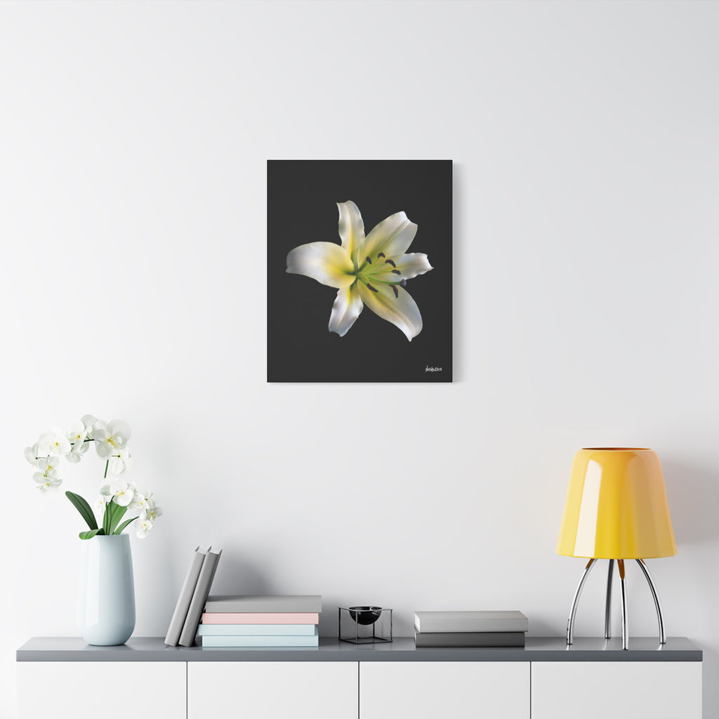 Nature's Paradise - 20X24