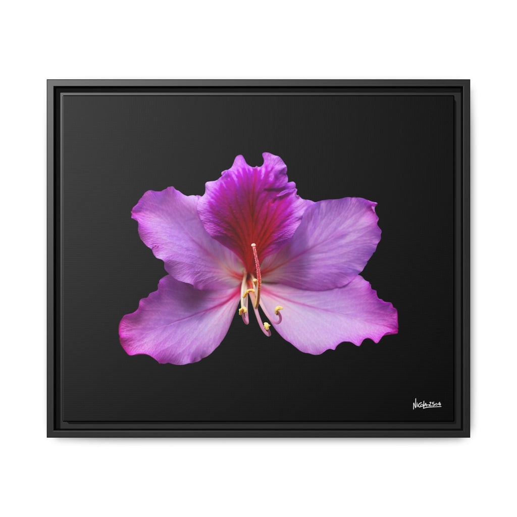 Listening Petals Framed - 24X20