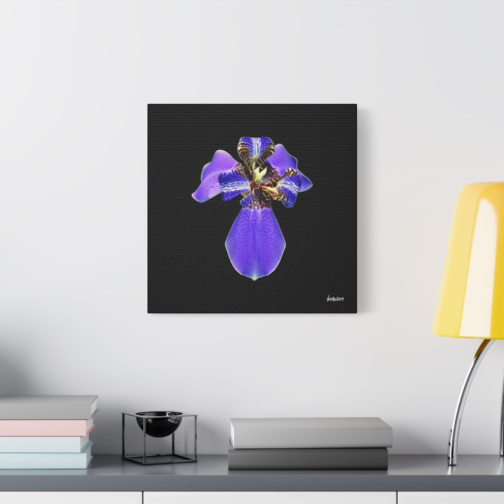 Gift of the Wait - 16X16