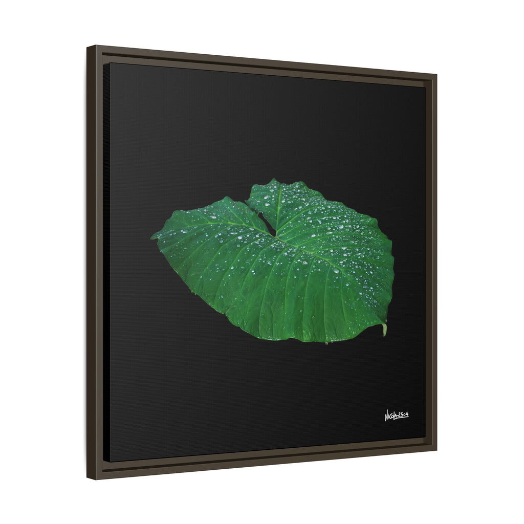Blessing of the Rain Framed - 24X24