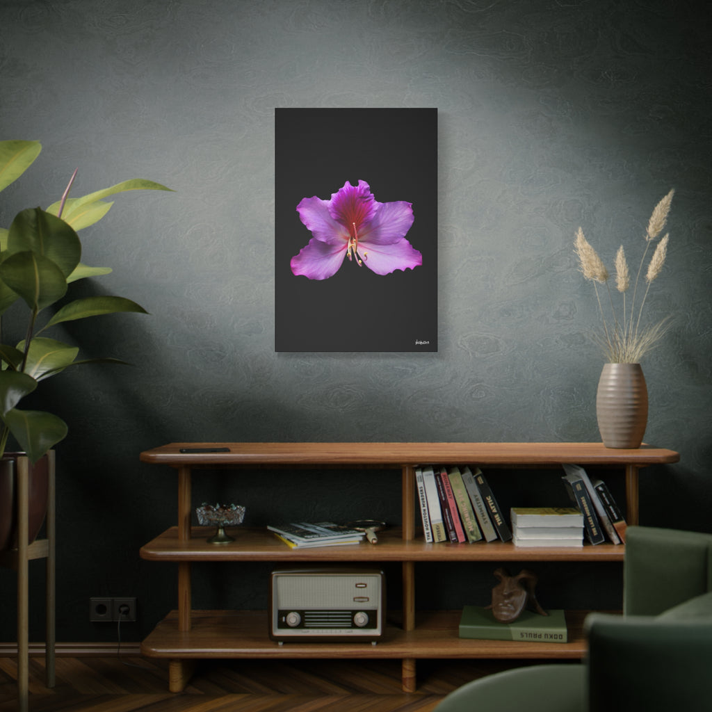 Listening Petals - 24X36