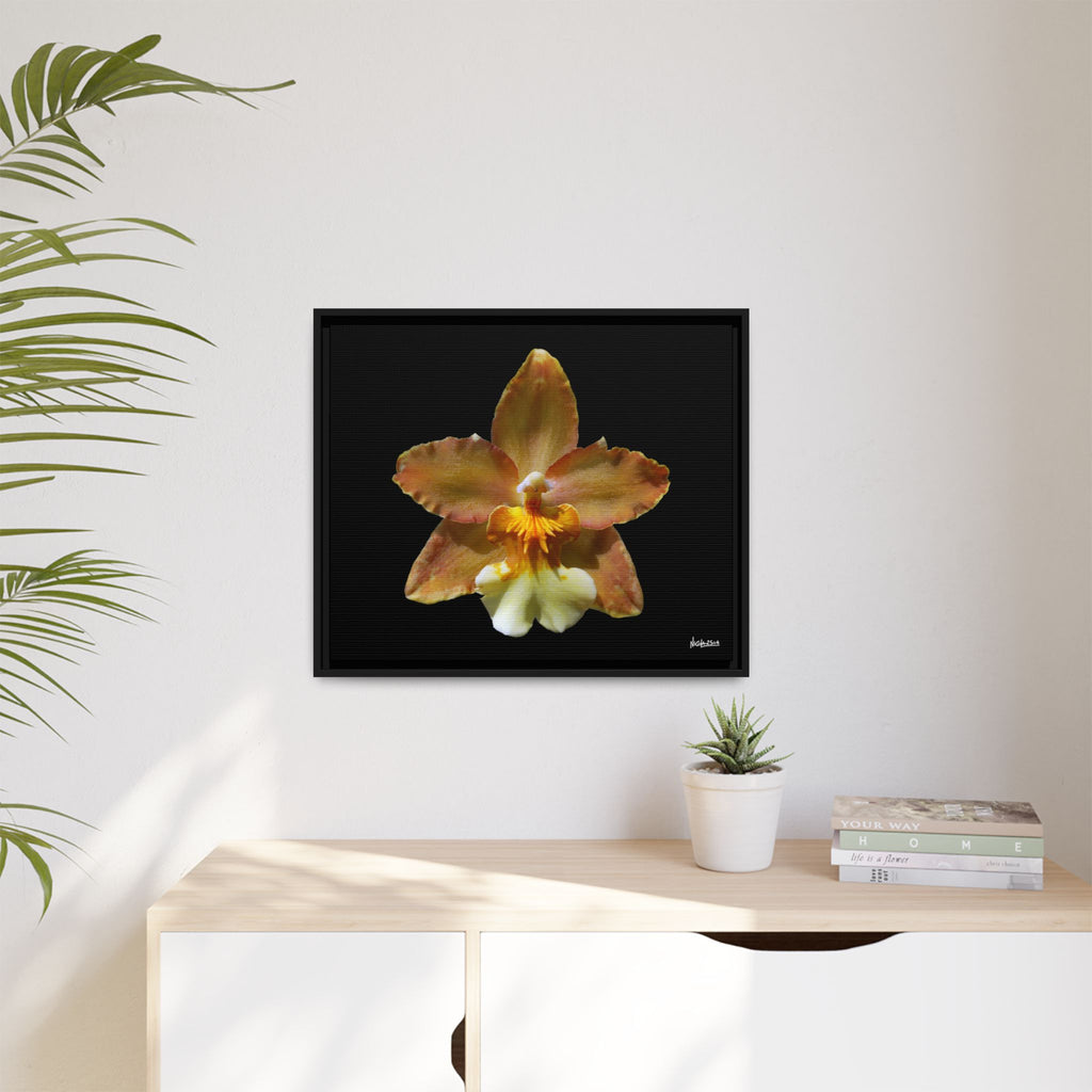 Golden Harmony Framed - 24X20