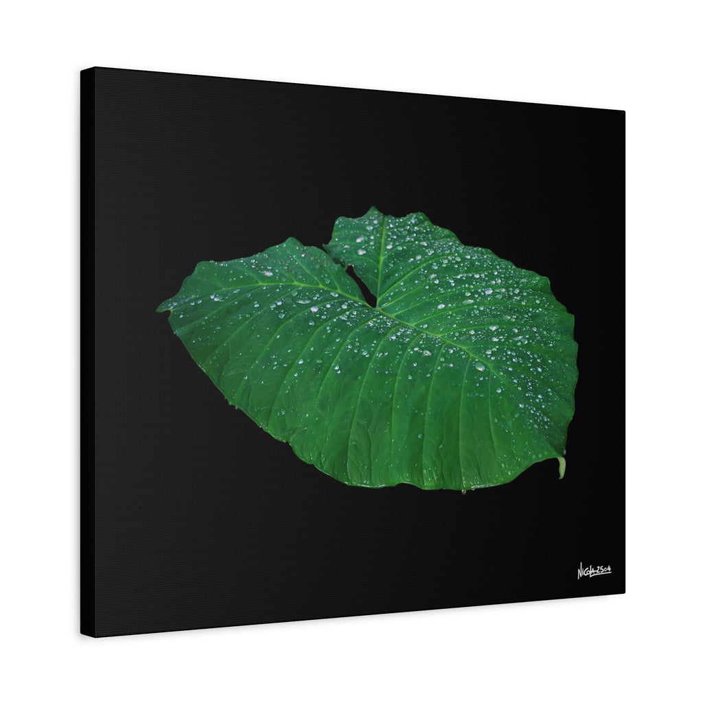 Blessing of the Rain - 24X20