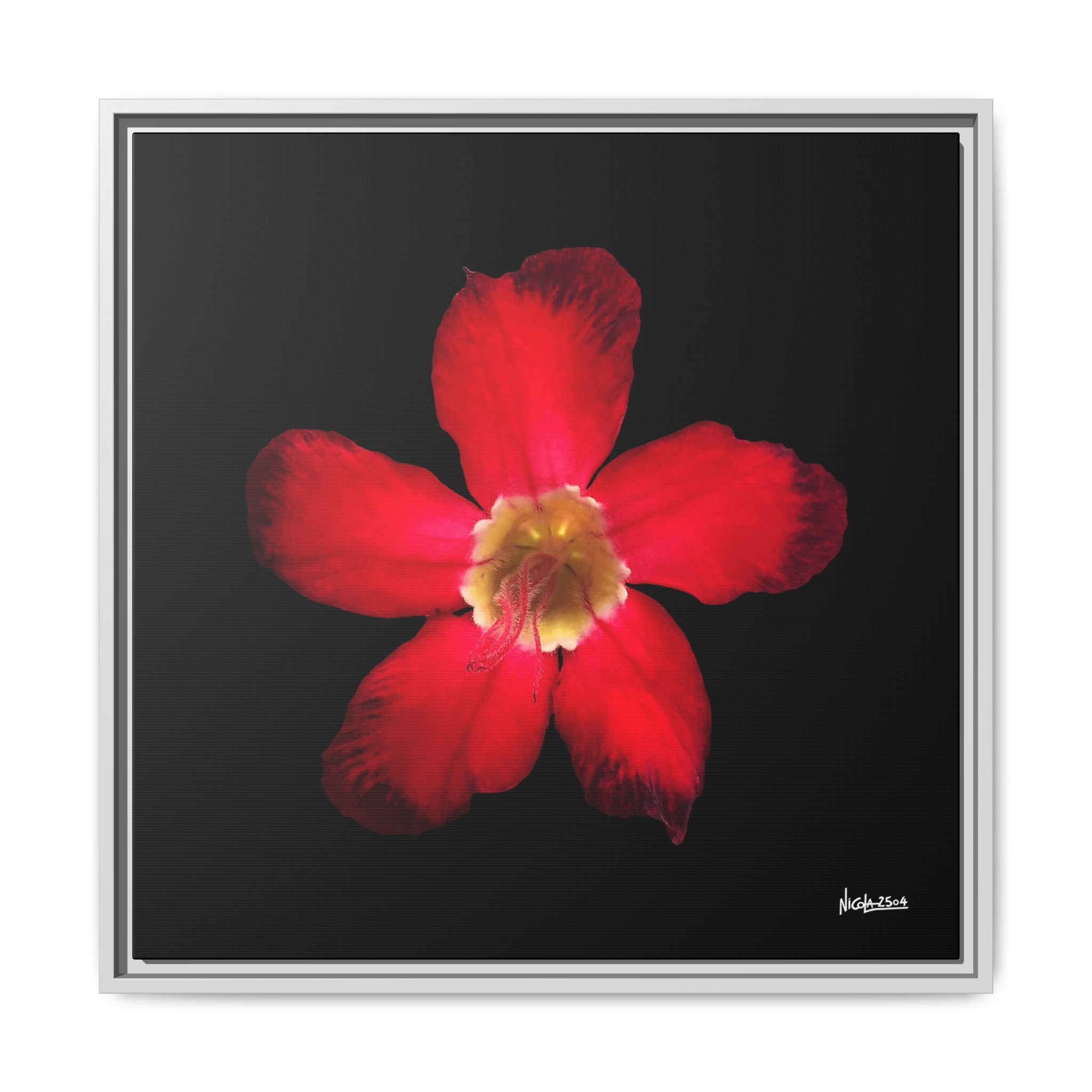 Passion in Bloom Framed - 24X24