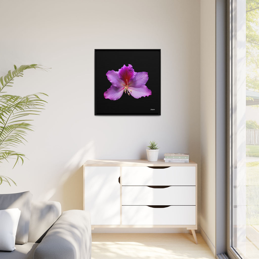 Listening Petals Framed - 30X30
