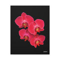 Legacy in Bloom - 16X20