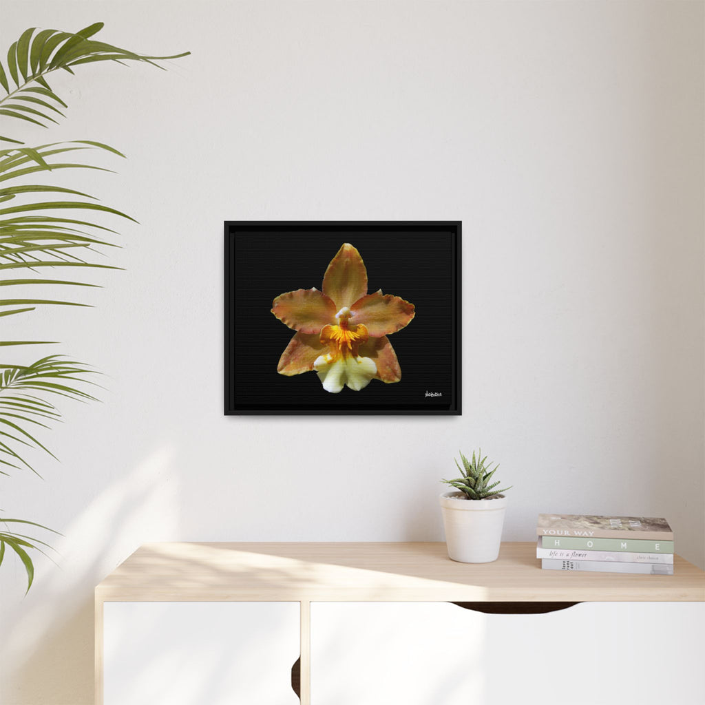 Golden Harmony Framed - 20X16