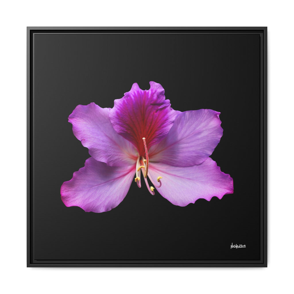 Listening Petals Framed - 30X30