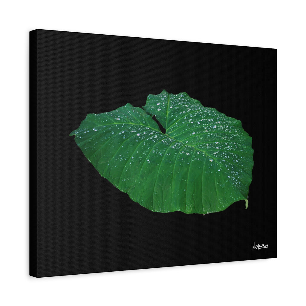 Blessing of the Rain - 20X16
