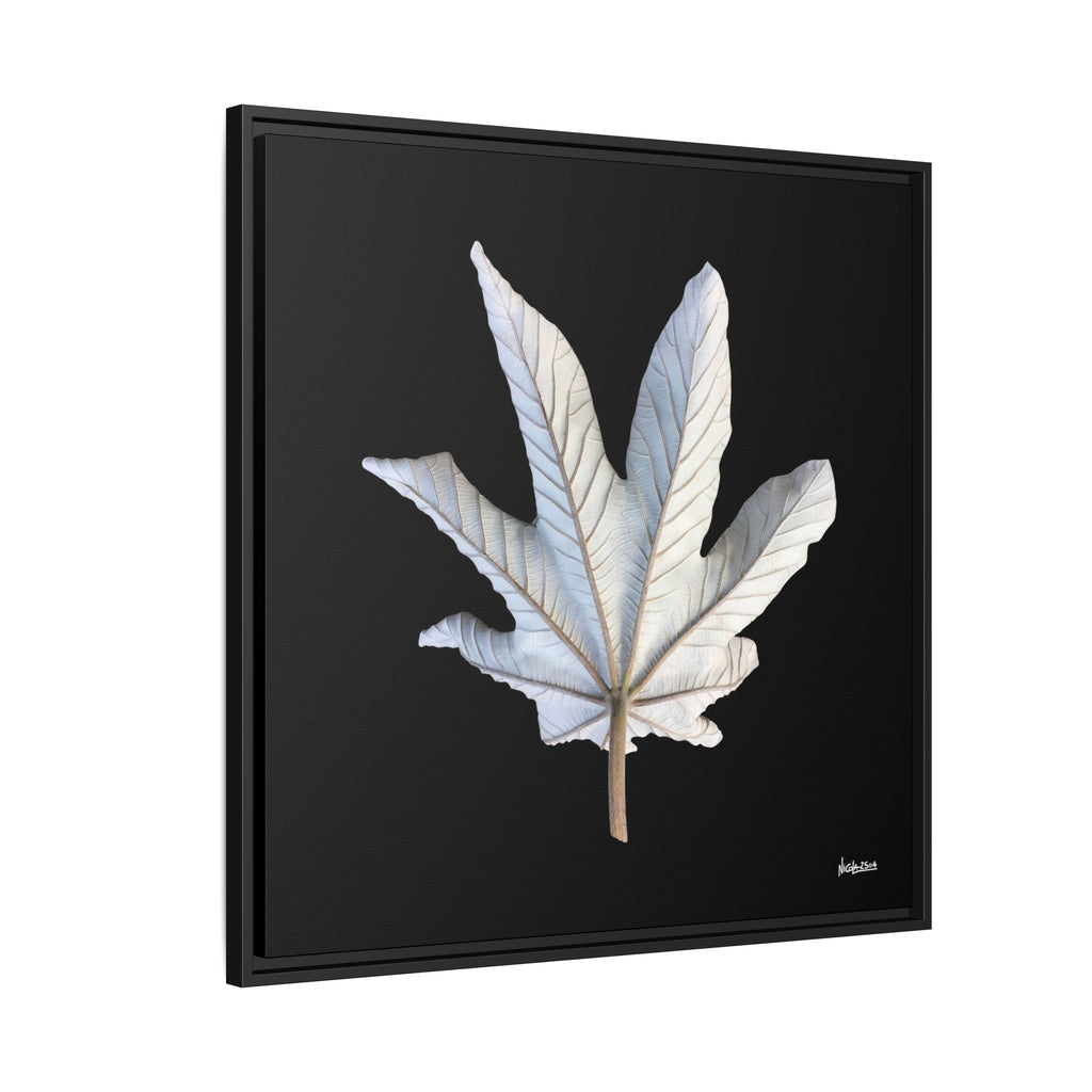 Ivory Solitude Framed - 30X30